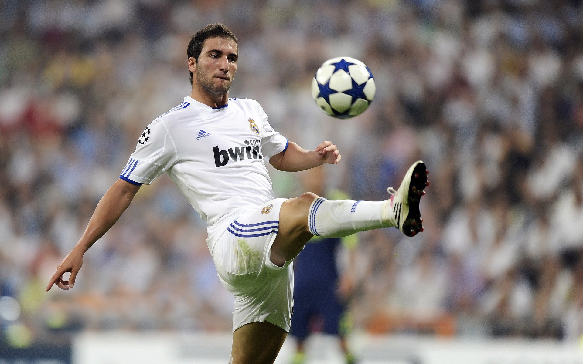 荷兰队在欧洲预赛中表现优异,晋级在望